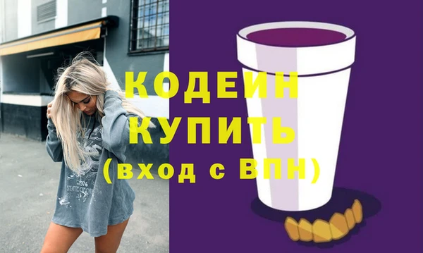 apvp Иннополис