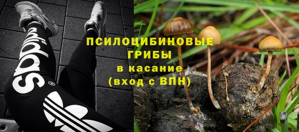 дмт Инсар