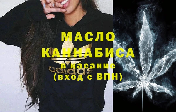 дмт Инсар