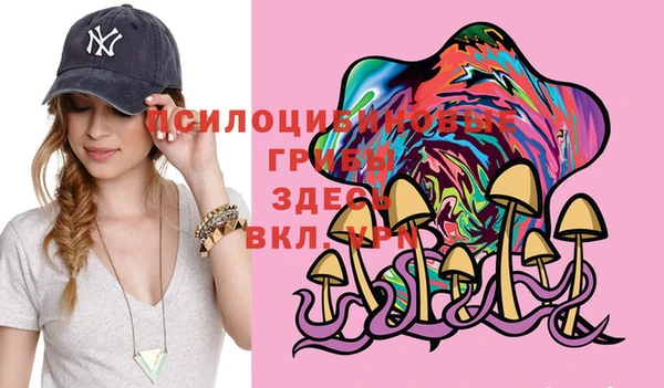 кристаллы Инта