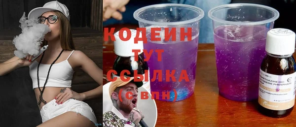 apvp Иннополис