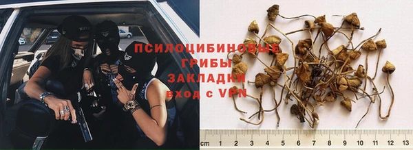 кристаллы Инта