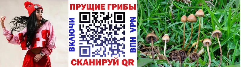 Купить  Харовск  Псилоцибиновые грибы Magic Shrooms 